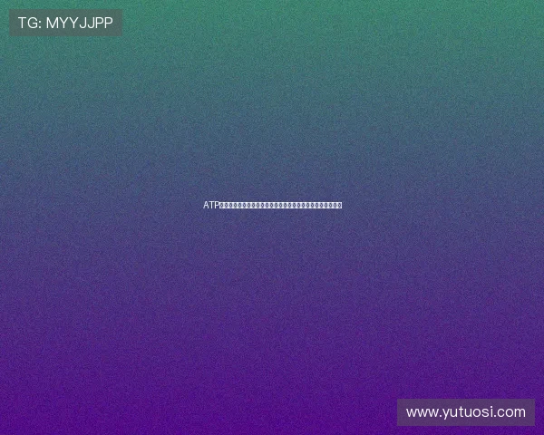 ATP巡回赛进入关键赛程争夺升级顶尖球员迎来赛季重要考验新篇